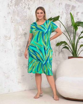 Picture of CURVY GIRL STRAIGHT DRESS